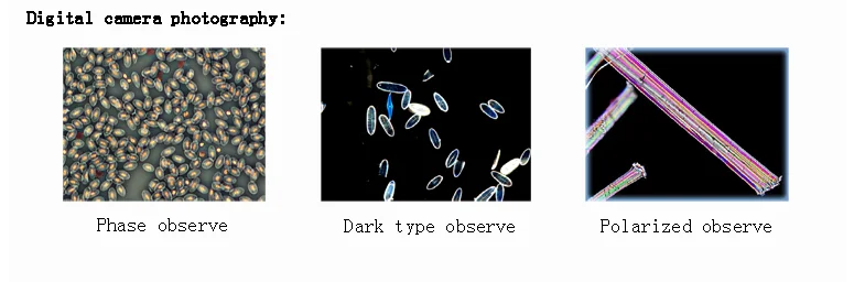 Cheap Price Lab Equipments Infinity Optical System Trinocular Biological Optical Microscope