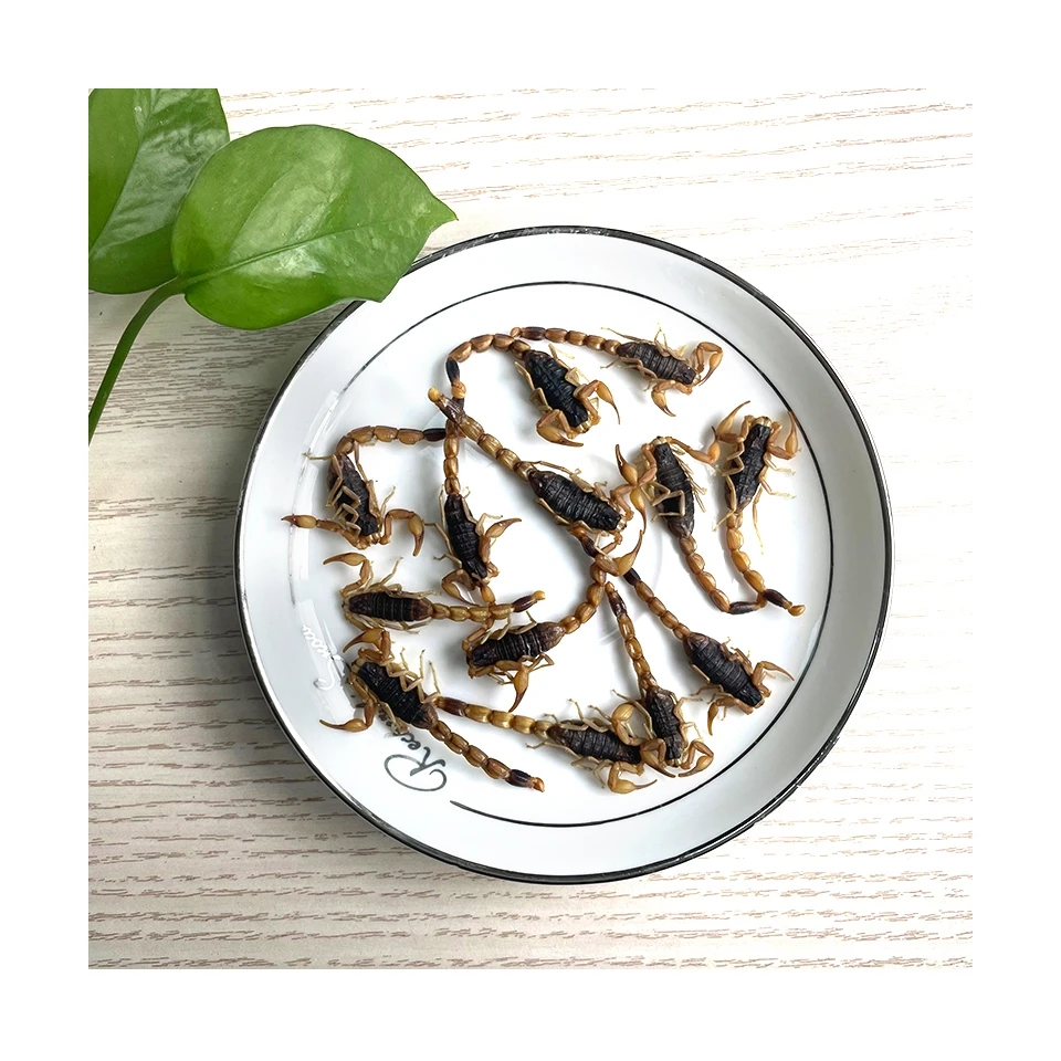 Снэки с высоким содержанием белка, низким содержанием жира, естественное питание, червь, эко-свежий скорпион