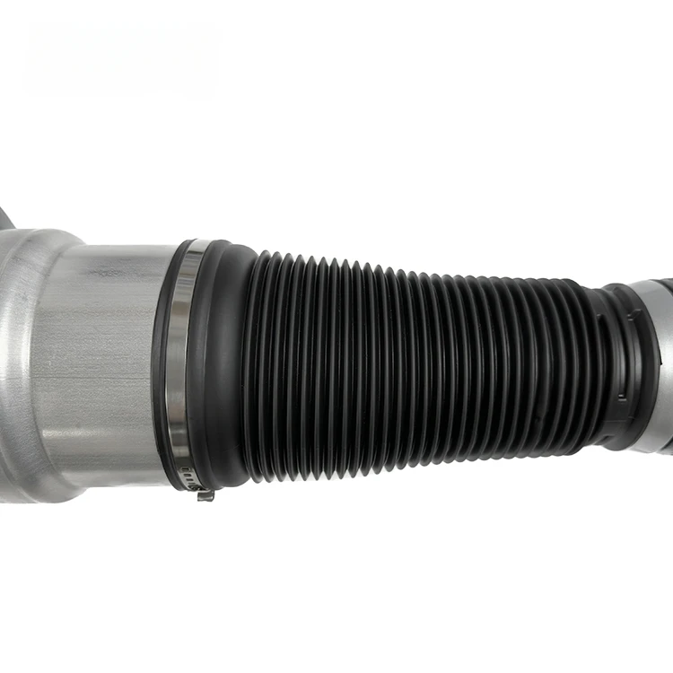 OEM A2213209313 A2213204913 Air shock Hot Sale Air Suspension Shock Absorber For Mercedes-Benz S-Class W221 Audi BMW Pors