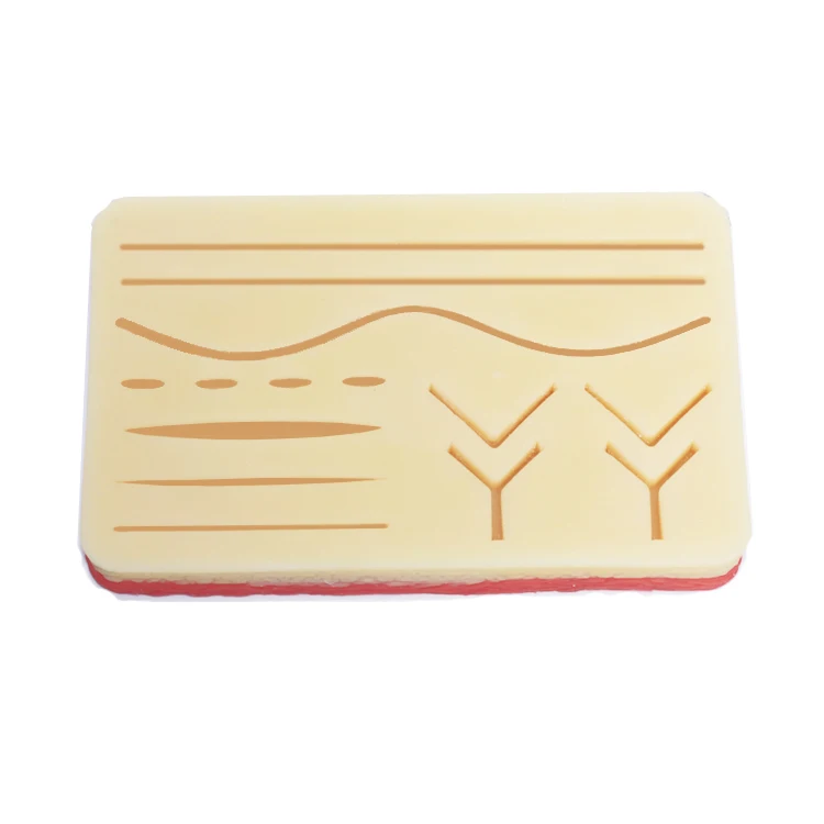Surgical Suture  practice pad model
