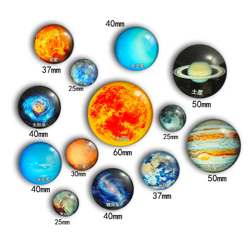 Glass Magnets for Refrigerator ,Cute Fridge Magnets for Office and Kitchen , Succulent Whiteboard Magnets for Locker