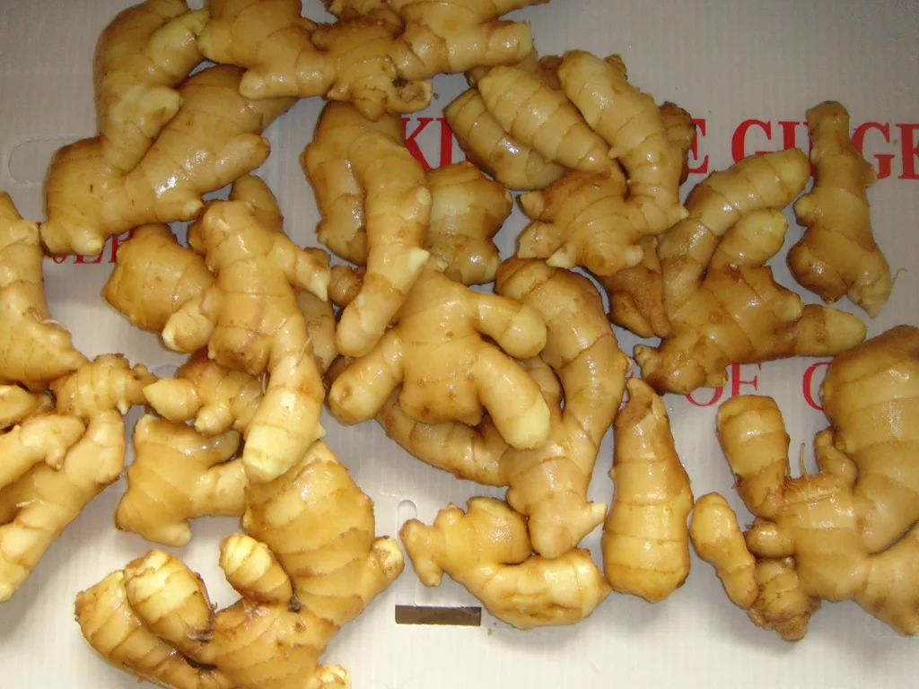 Raw Ginger Made in China Export Clear Dried Air Ginger China