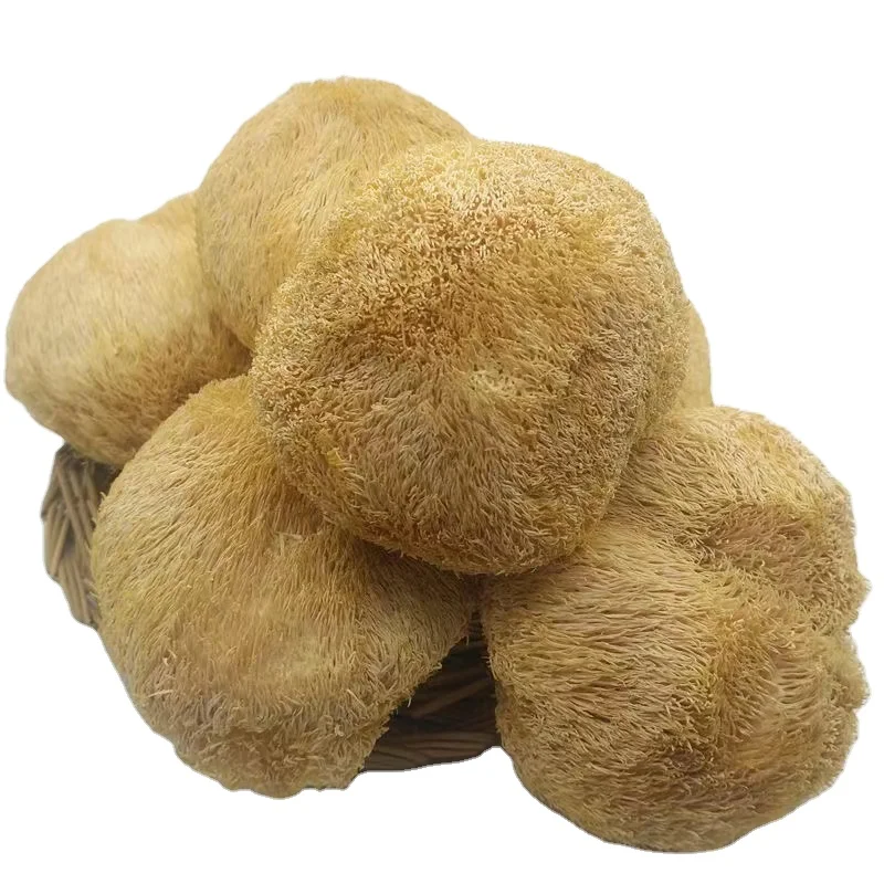 Dried lions mane mushroom & Dried Hericium erinaceus mushroom