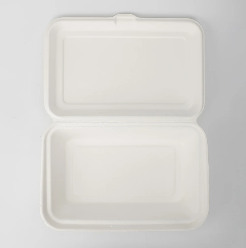 Eco-friendly Biodegradable Sugarcane Bagasse Pulp Molding Disposable Food Take Away Box To Go Lunch Box With Lid