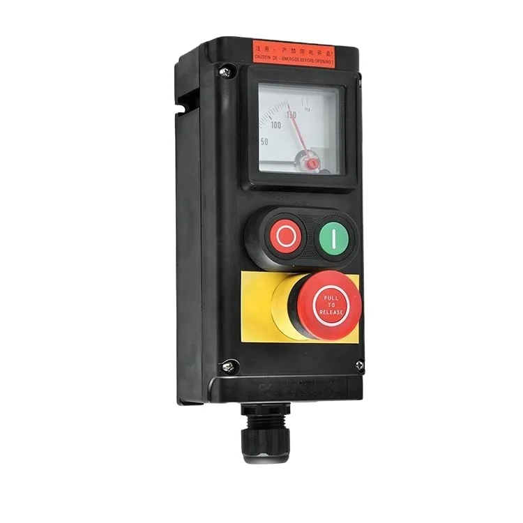 IECEX and ATEX Certified Explosion-proof Electrical Control Box