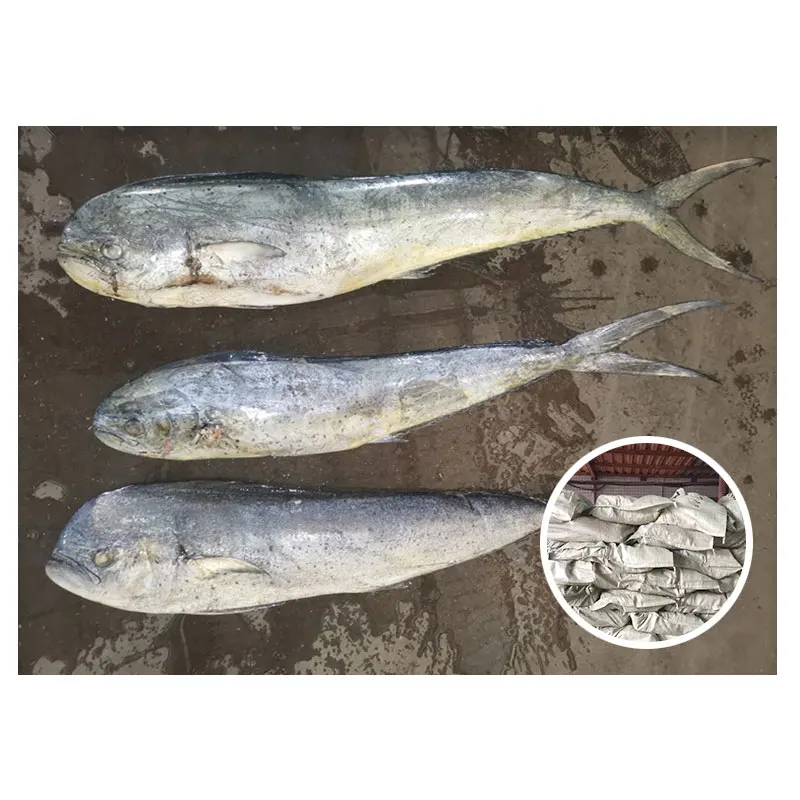 Высококачественные морепродукты Fisch Fish, цельная круглая Рыба 1-2 кг, замороженная рыба Mahi