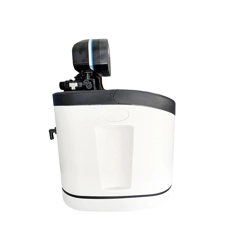 High Quality Electric or Manual Powered Water Softener Resin Filter for Home and Outdoor Use