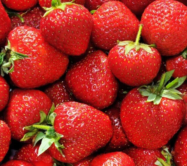
Factory Supply strawberry extract powder anthocyanins phenols 