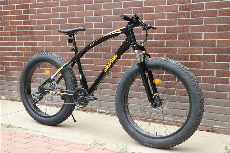 Direct Factory Supply 26 Inch 21 24 27 Speed Double Disc Brake Fat Bike