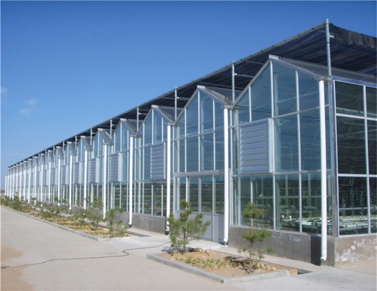 galvanized venlo greenhouse insulated tempered agriculture glass greenhouse