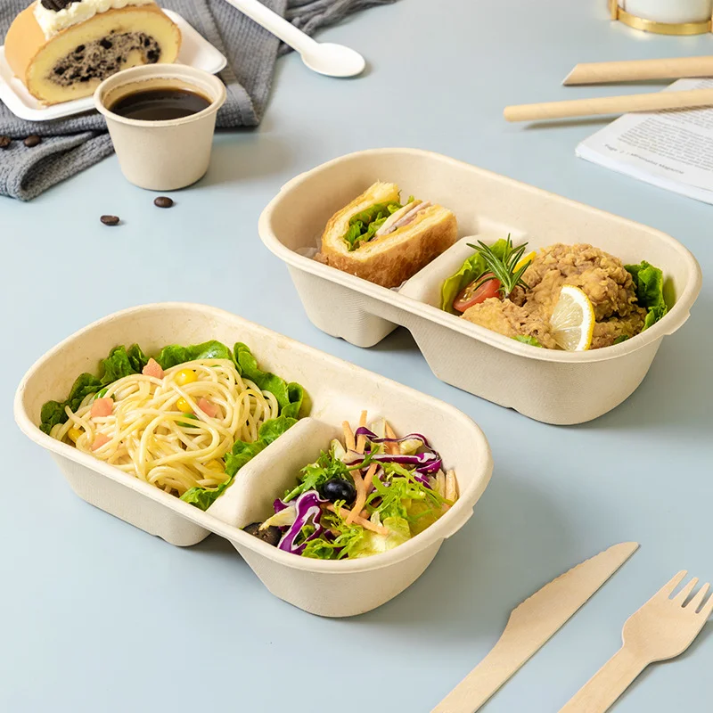 Eco Friendly Takeaway Fruit Meat Cake Food Tray Sugarcane Bagasse Lunch Box With Lid Biodegradable Bagasse Tray