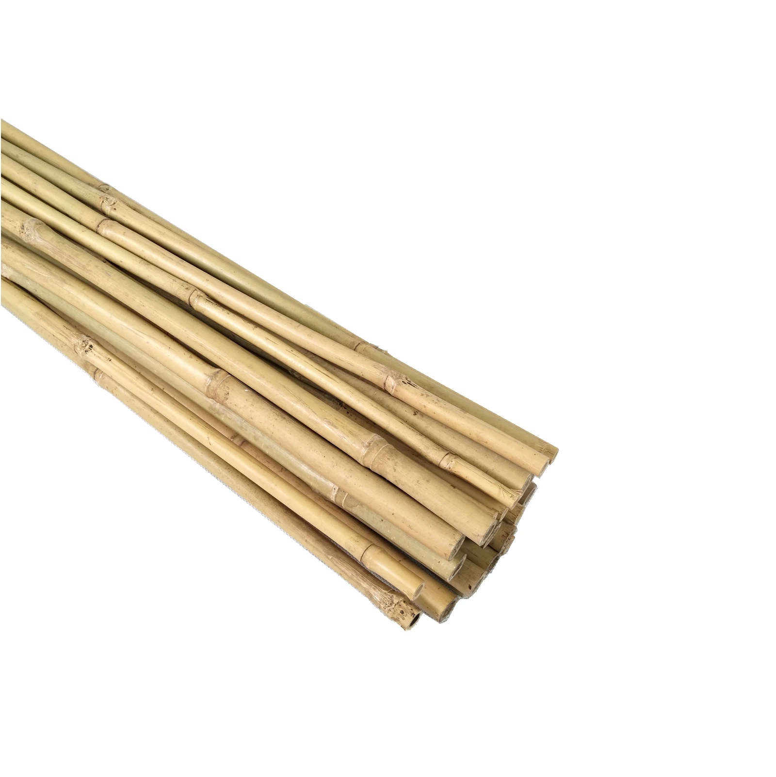 Bamboo Cane Big Pole Natural Straight Agriculture Cheap Raw Bamboo  Plant Support  5