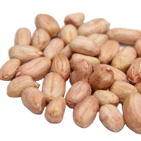 Chinese High Grade Peanut Kernels Hot-selling Peanut Kernels