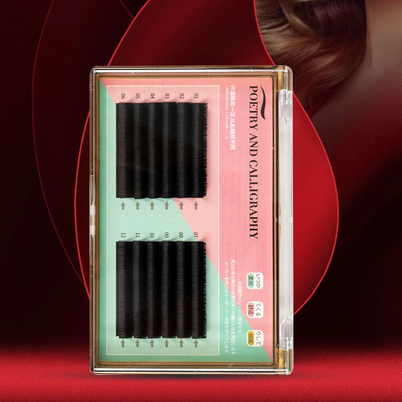 Wispy Super Strong Professional Accent Clean Look Eye Make-up 24 hour Lashbox Paired with Volumized Eyelashes Extension