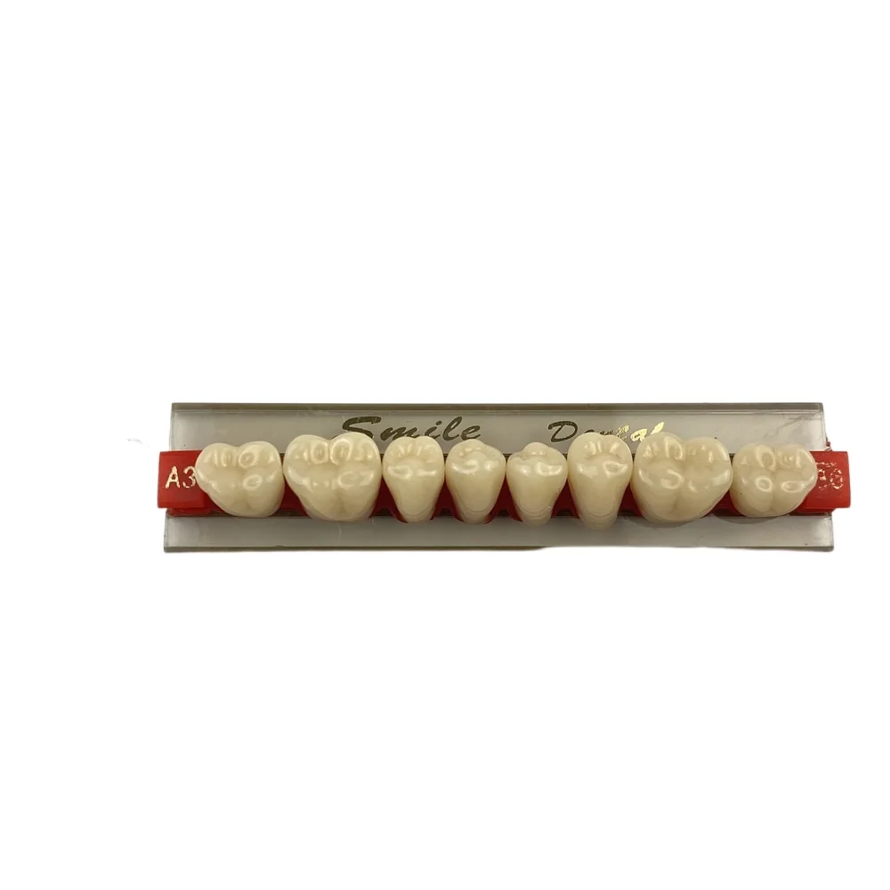 Dental 2-layer Synthetic Resin Teeth Denture Teeth Acrylic Resin Teeth