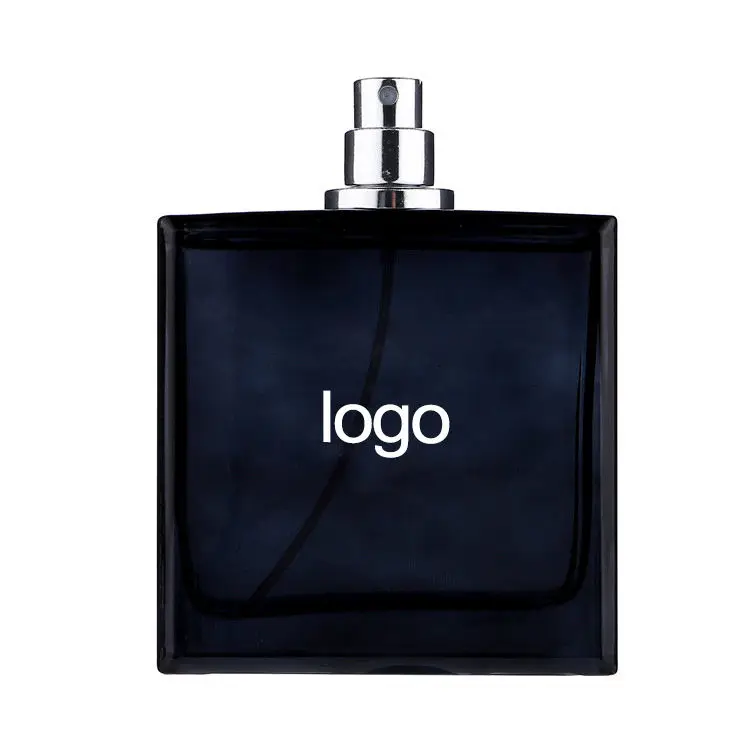 Free Shipping Original Brand 100ml Designer Luxury Perfume Factory Wholesale Master Perfect Blue EDP Brand Perfume