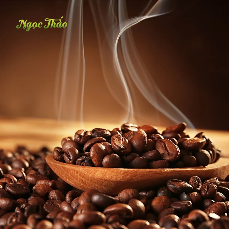 Ngoc Thao Factory Vietnam Origin Direct Source For Pure Robusta Roasted Coffee Beans