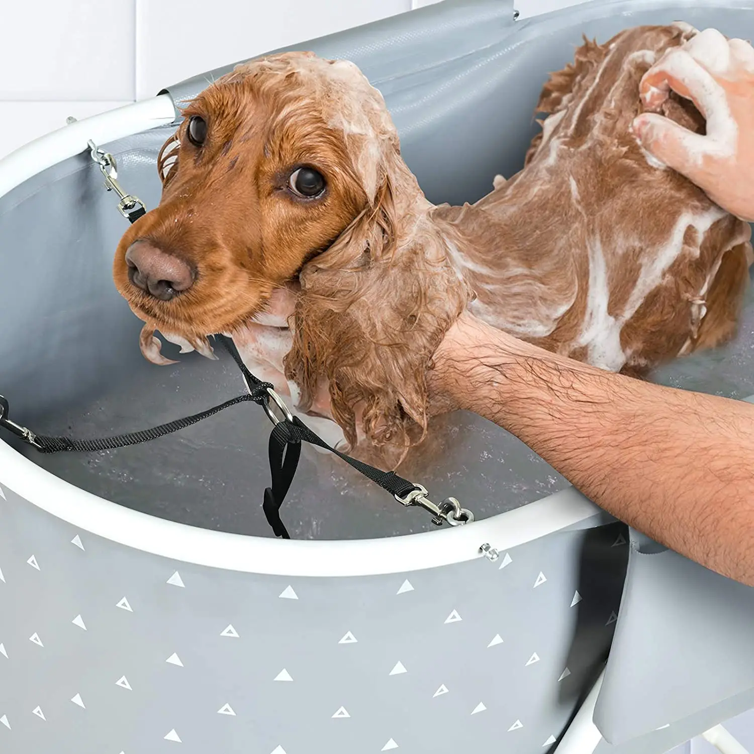 
Pet Dog Grooming Bath Tub Folding Dog Bathtub Elevate Family Bath for Small and Medium Pets 