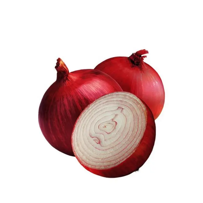 Fresh excellent grade vegetable best price peeled red onion from China Golden county