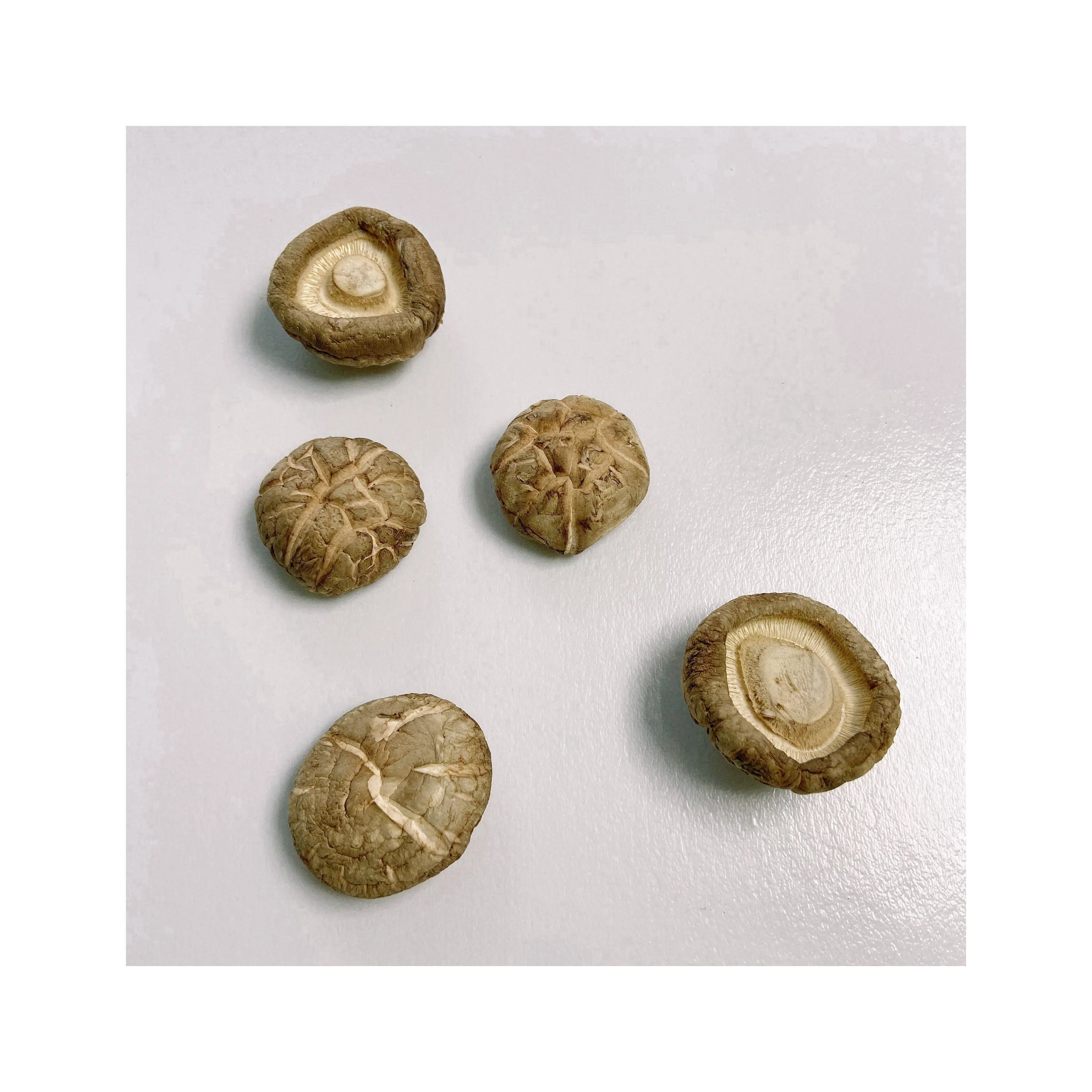 Safe Production Wholesale Dried Organic Shiitake Mushroom