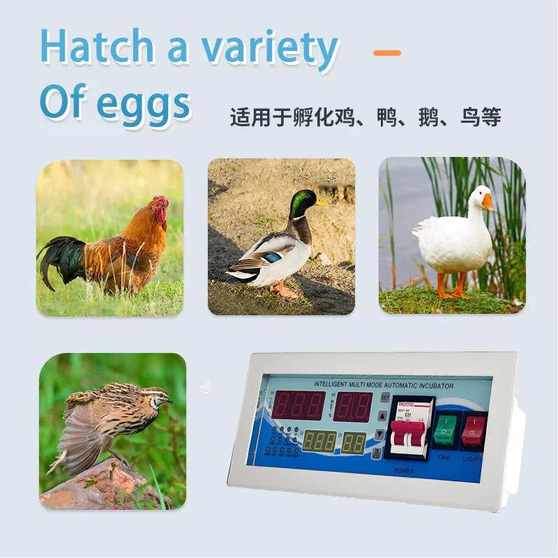 2024 Hot Style Best Selling XM18E Digital Controller All Automatic High Precision Intelligent Incubator Control Accessories