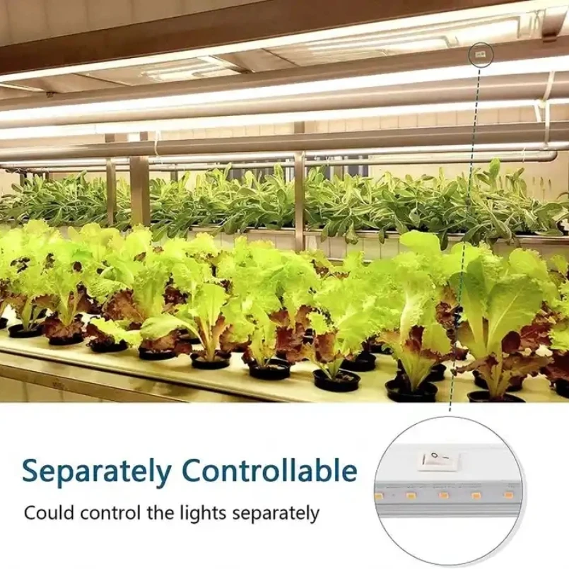 Modern Indoor Dark Party Supplies Halloween Decoration Room Uv Black Light Tube Usb Charging Led Light Strip