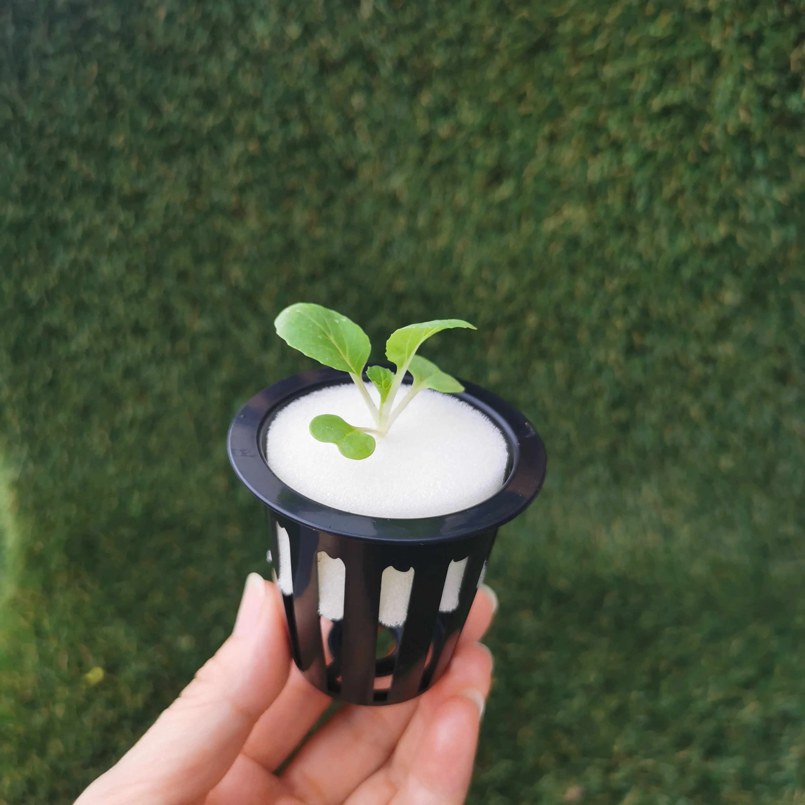 New Product For Hydroponics NFT 2 inch plastic net cup Hydroponic Growing Plant Pot Mesh N Cup