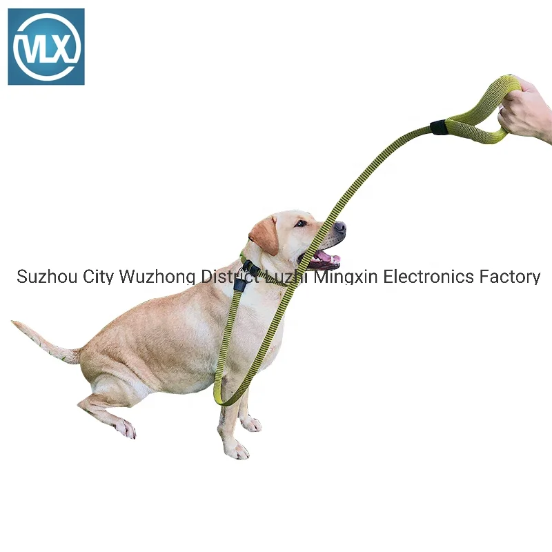 Lightweight Size-adjustable  Dog collar and leash dog harness leash HOT SELLER in USA