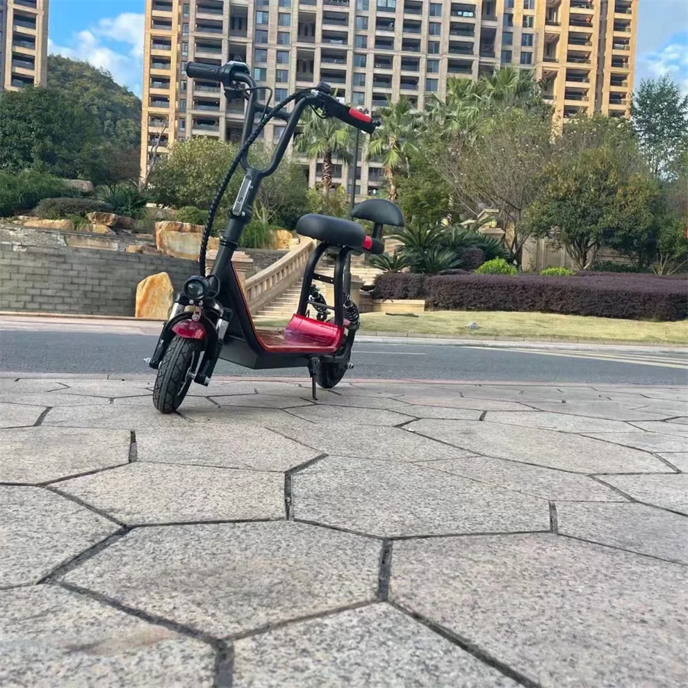 Fast Delivery Electric 500W Carbon Fiber Folding Bike With Compass