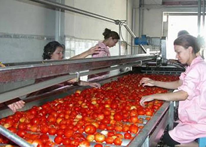Auto pp container tomato sauce packaging filling processing line