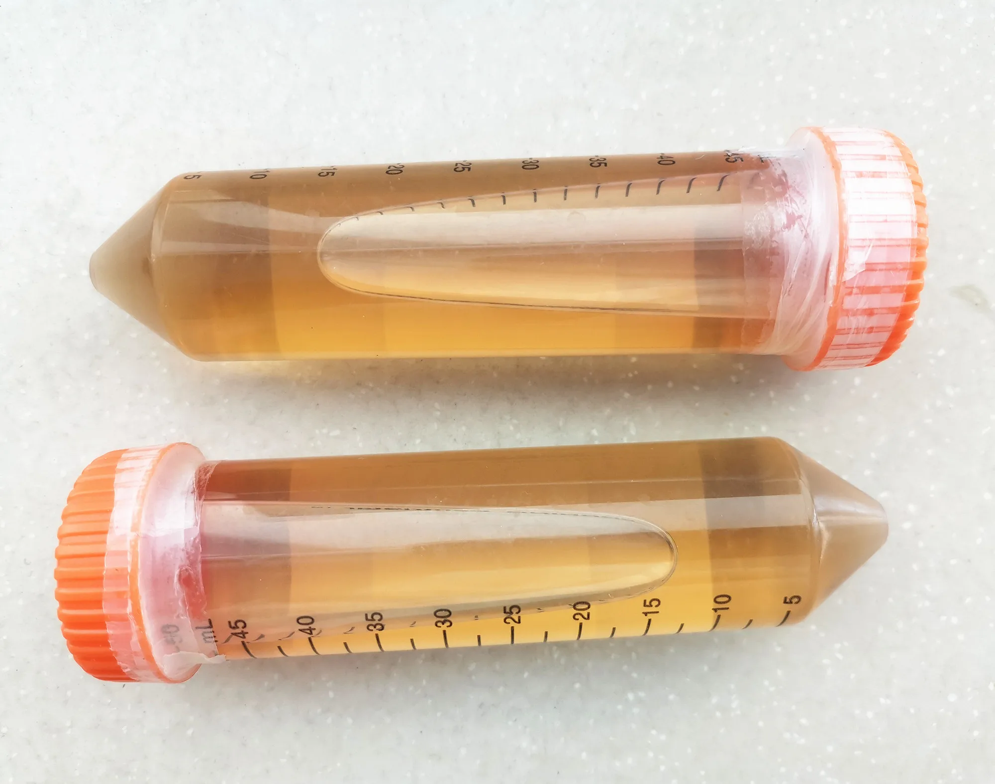 
Best Price of ISO/Kosher/Halal Certified 1000IMCU/ml Chymosin Enzyme/Rennet Chymosin for Cheese Processing 