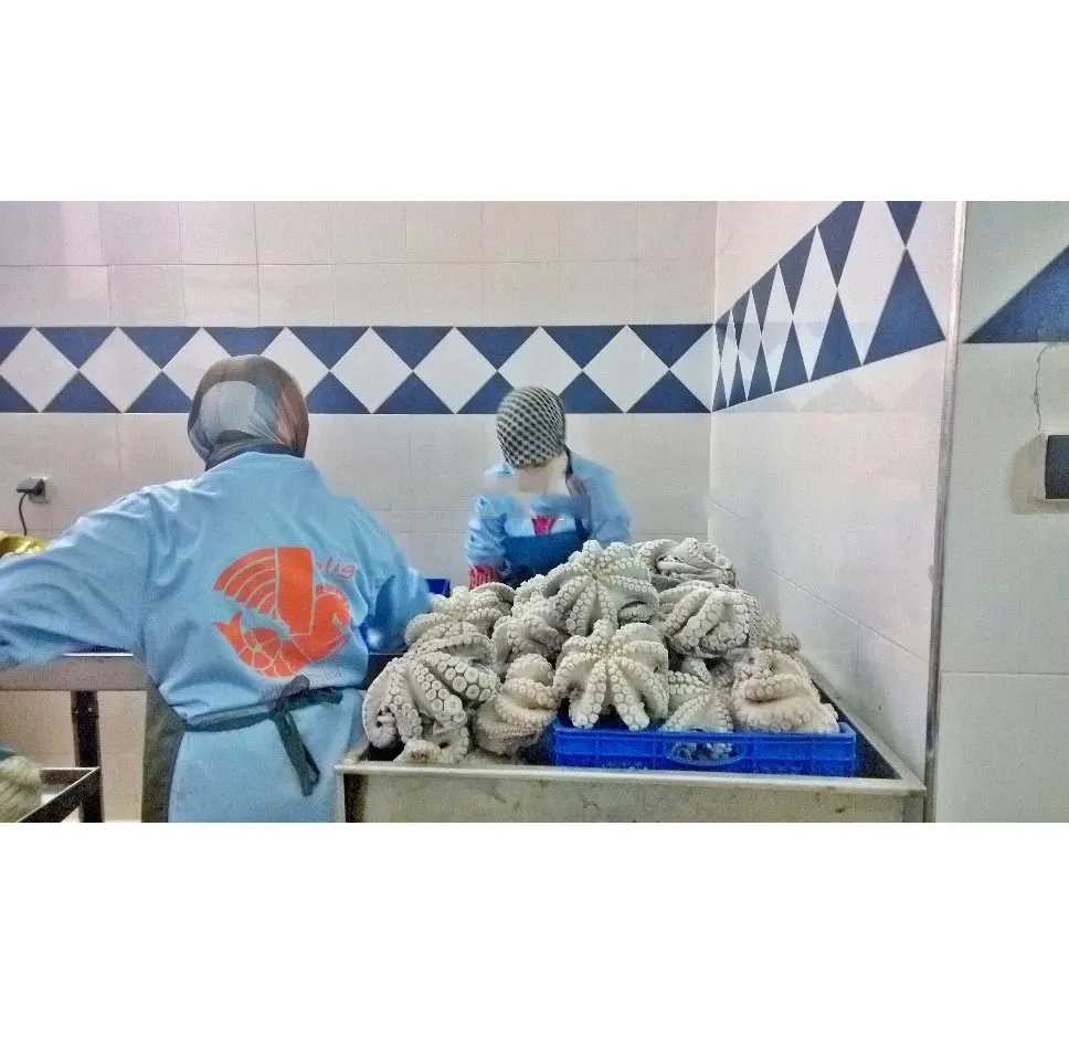  Горячая Распродажа высококачественный замороженный цветок осьминога iqf из
