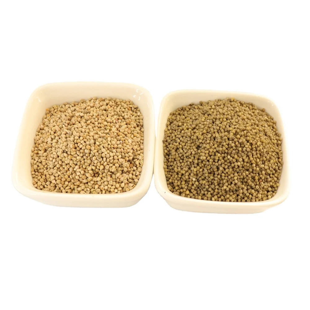 Wholesale Dried Hulled And Unhulled Green Millet Bajra Green Millet