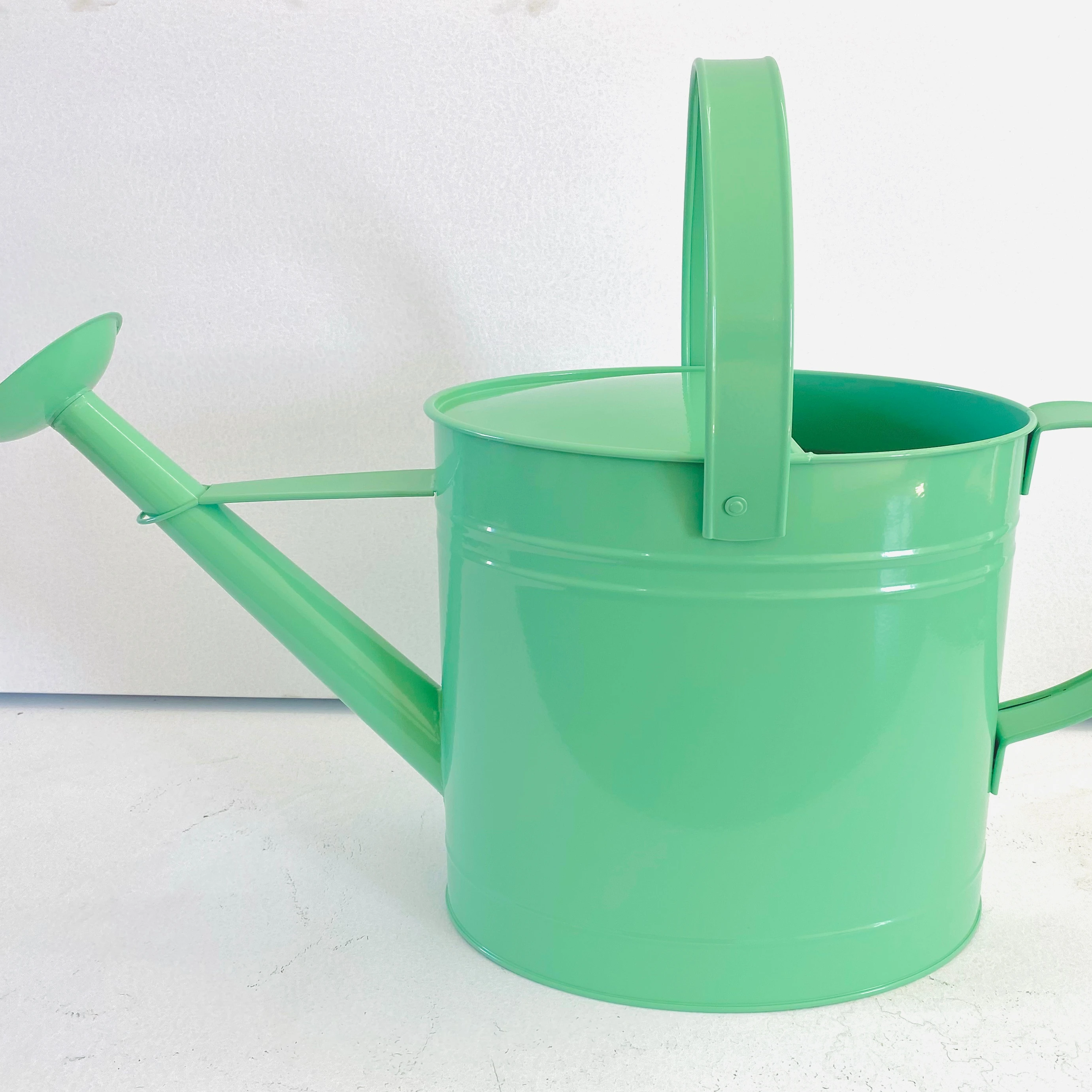 Practical Hot Sale 10l Garden Galvanized Metal Long Neck Watering Can/Sprinkling Pot