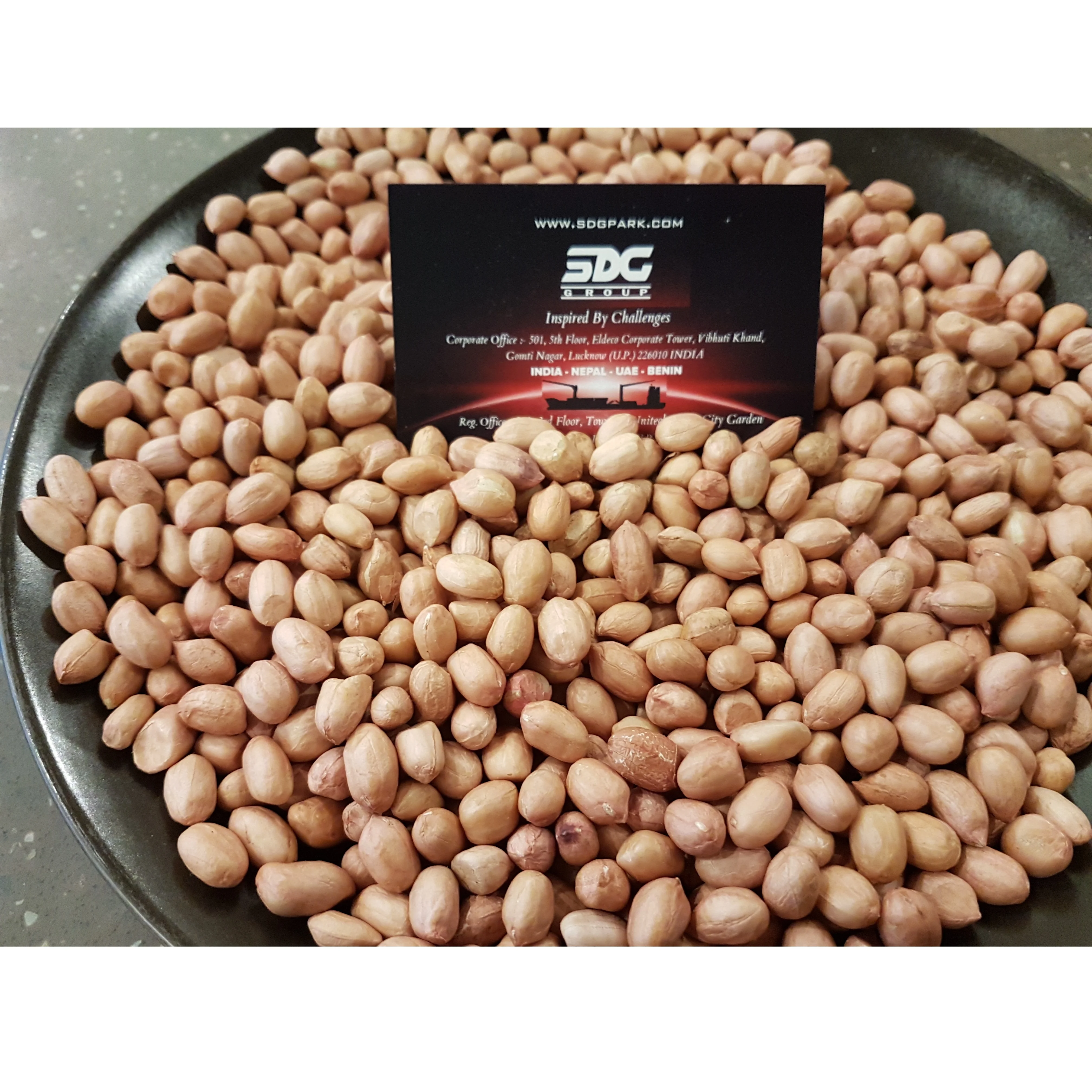 Premium Quality Mungfali Dana 50/60 JAVA Peanut Groundnut in jute bag supplier in India