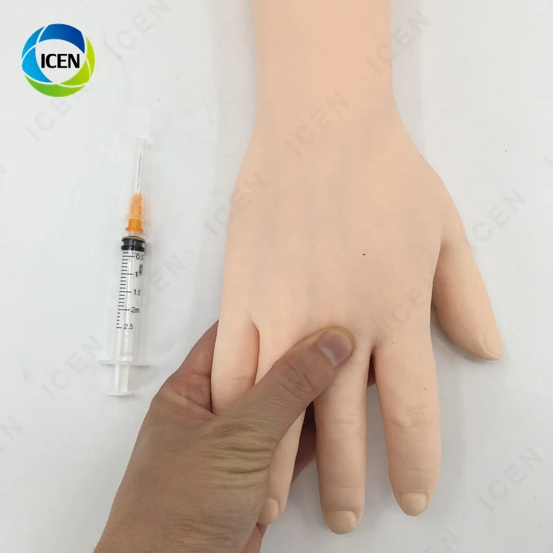 IN-M7 Amain Good Quality Injection Training Hand Arm Venipuncture Practice Model Intramuscular Training Model For Hospital