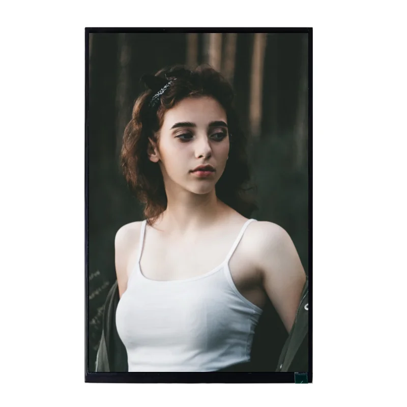 customized OEM ODM 10.1 inch 1200*1920 DSI MIPI 4L interface HX8279_D01 40 pin lcd displays