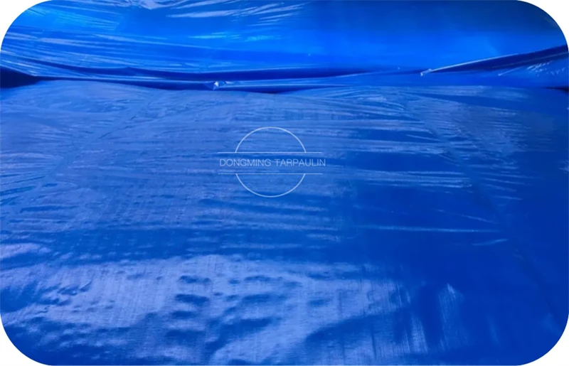 Blue tarpaulin  (3).jpg