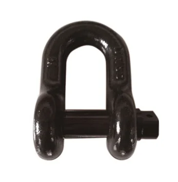 European Type Lifting Dee Stainless Steel D Shackle