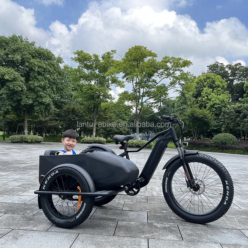 retro style wholesale price cargo ebike with sidecar 3 wheel 750w 1000w 48v fat tire electric bike side car ebike for sale