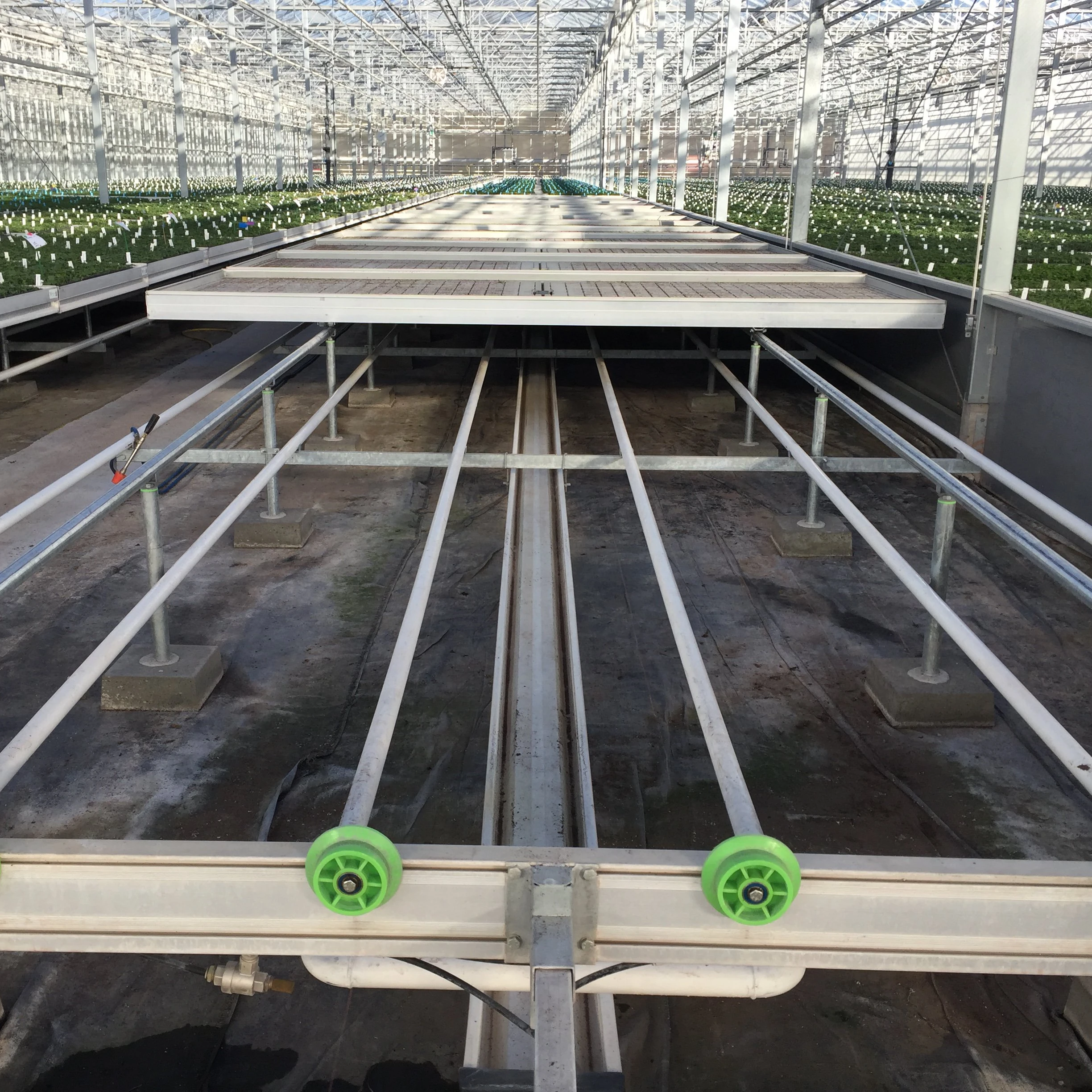 Low-cost plastic greenhouse strawberry cultivation tray seedbed bench for greenhouse