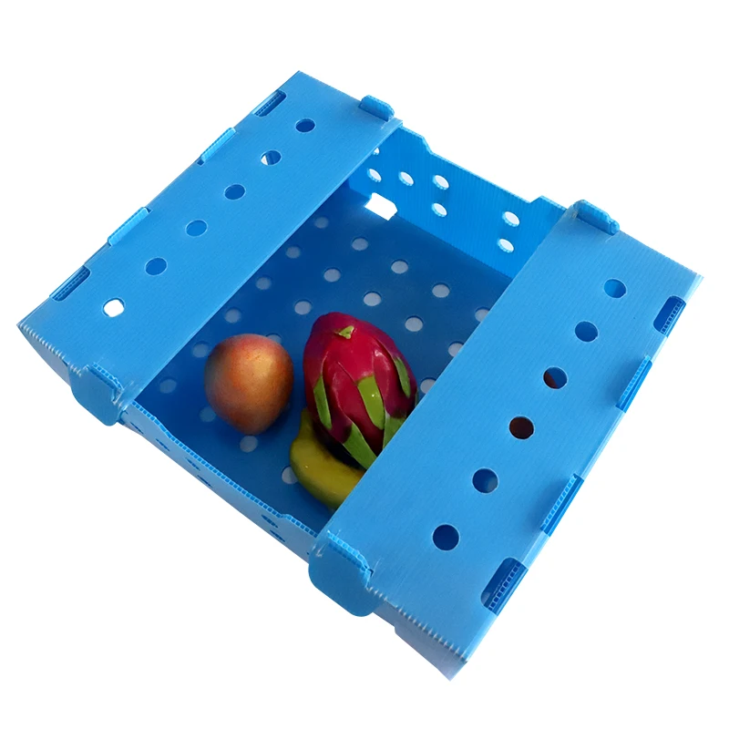 environmental friendly plastic correx okra boxes folding pp corrugated plastic box