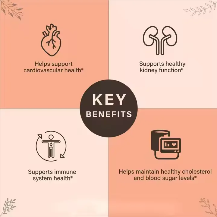 Astragalus Root Extract Powder Capsule Hot sales immune support and blood sugar balance Astragalus Root Extract Powder Capsule