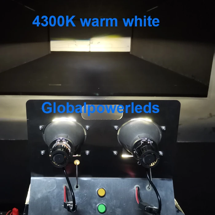 C323-4300k.jpg