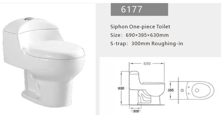 one piece toilet-6177.jpg