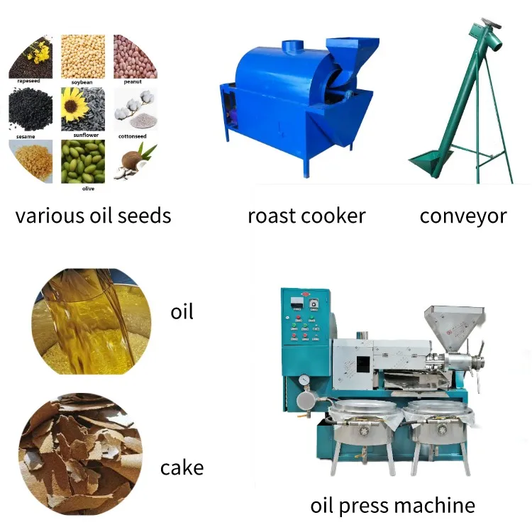 China grape seed  olive oil cold  extractor/ oil press machine for business