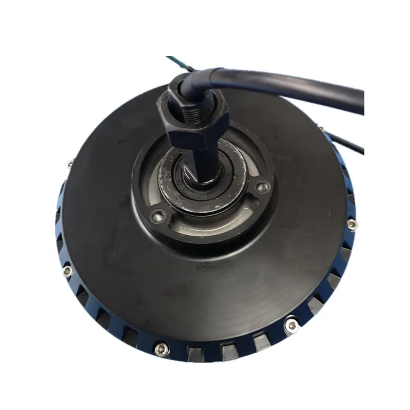 QS205 QS273 qsmotor motorcycle accessories motorcycle motor WITH EBIKE BATTERY