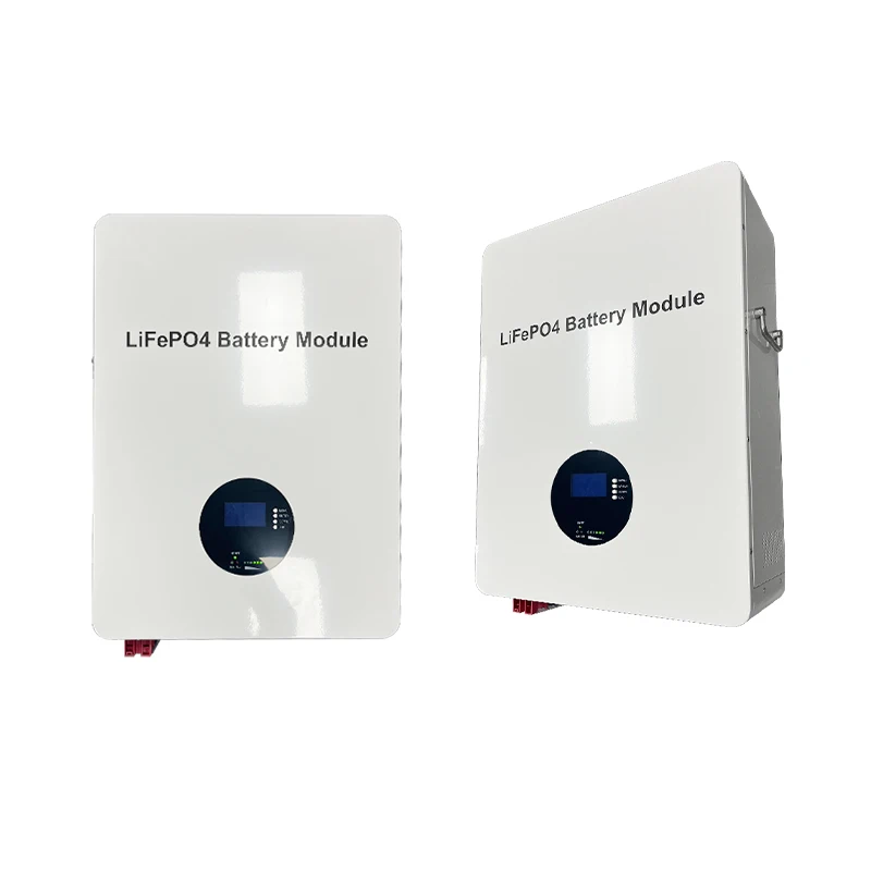 Lithium Lion 51.2v Energy Storage Rack Mounted Battery 9.6kwh Lifepo4 for Household Wall Mounted Battery 200ah