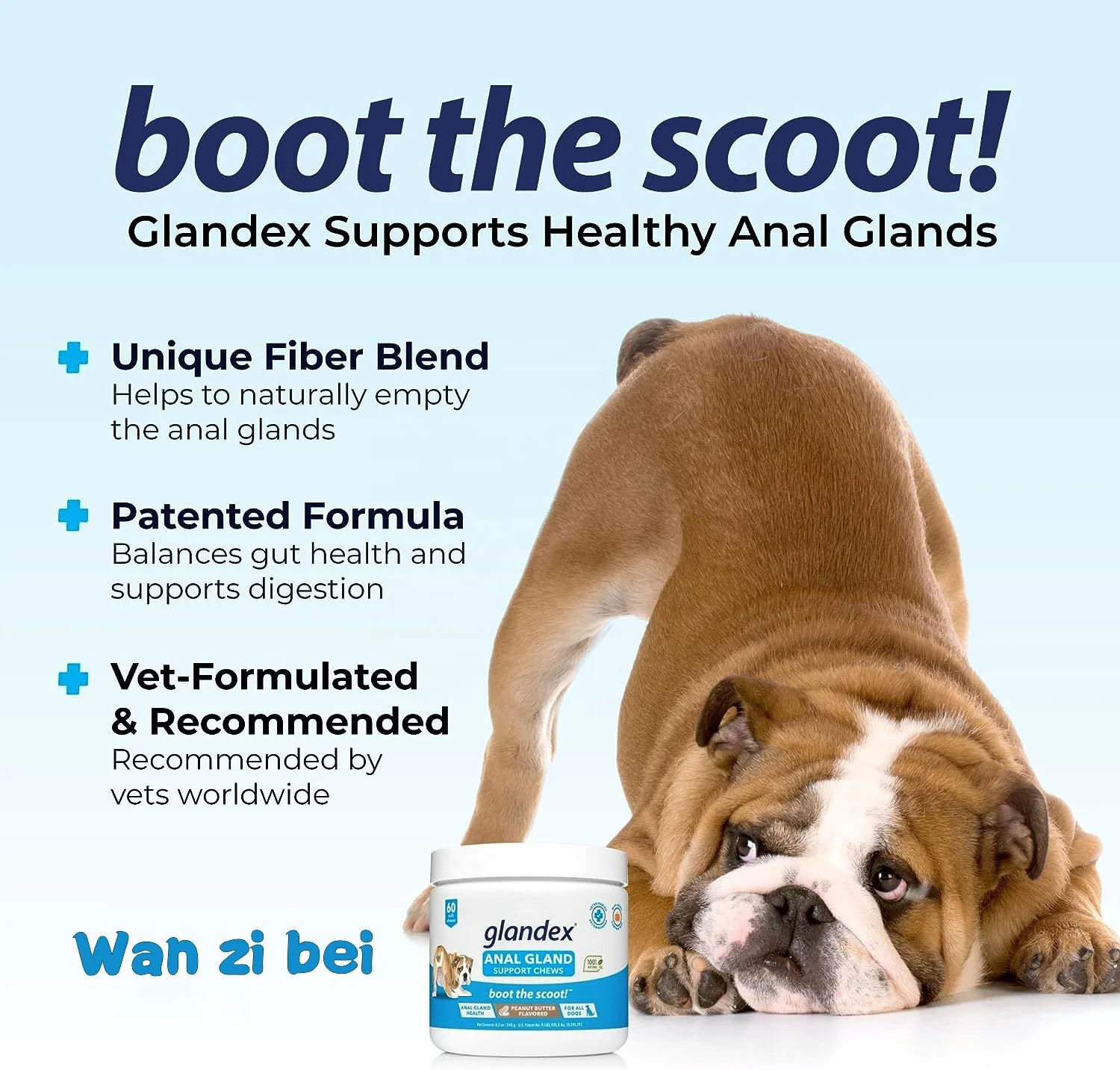 Glandex Anal Gland Soft Chew Treats with Pumpkin for Dogs Digestive Enzymes - Pumpkin Supplement