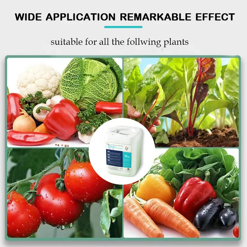 Agricultural crop root irrigation water soluble humic acid liquid high potassium fertilizer for wheat rice corn